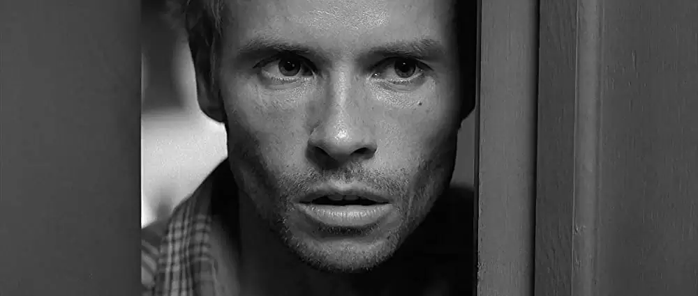 メメントの画像