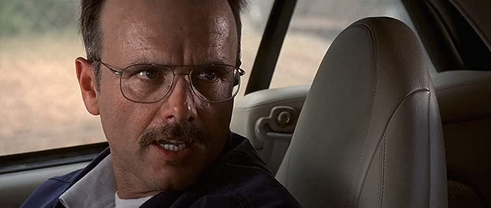 メメントの画像