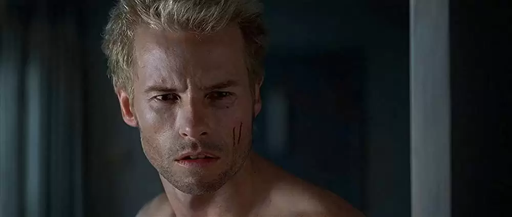 メメントの画像