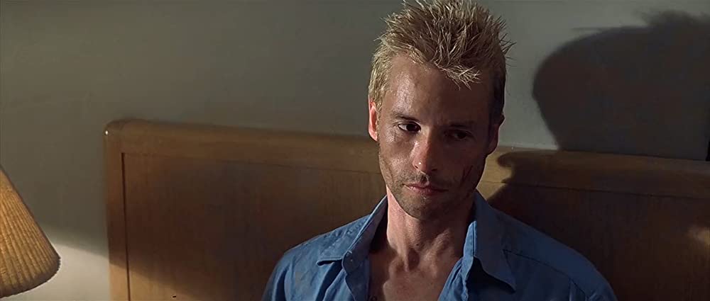 メメントの画像