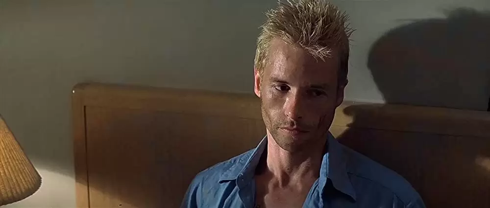 メメントの画像