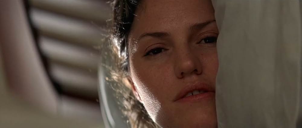 メメントの画像