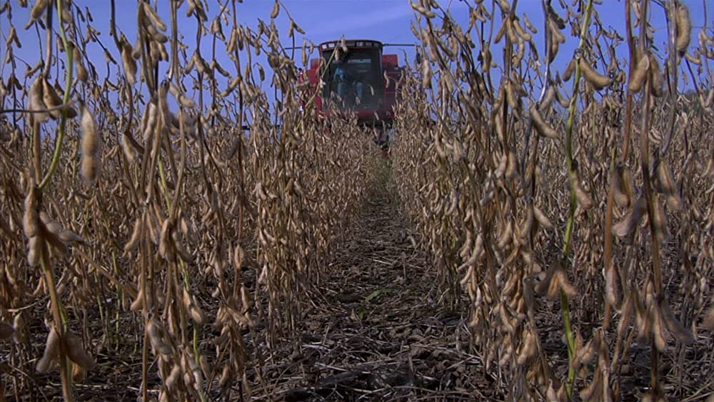 フード・インクの画像