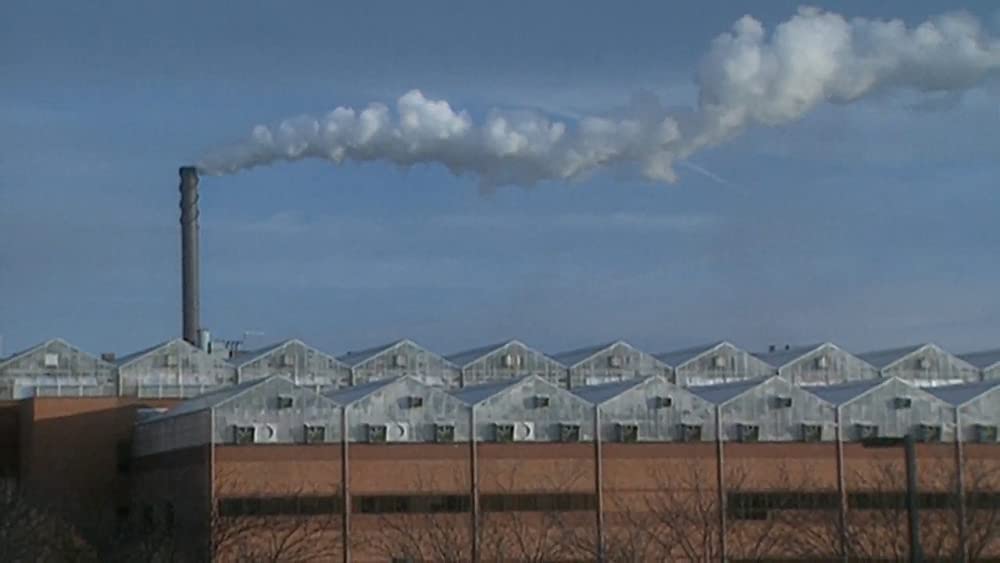 フード・インクの画像