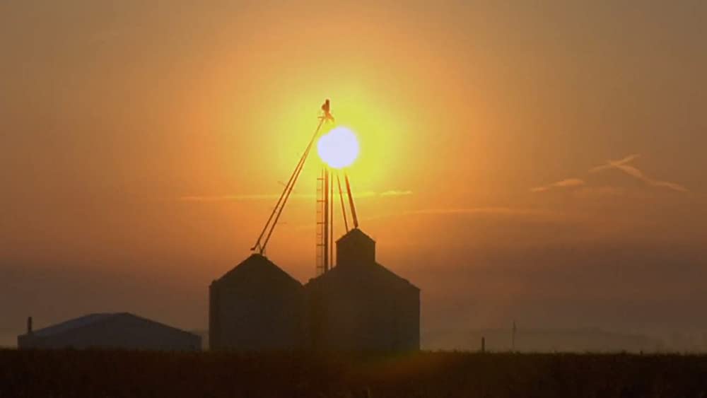 フード・インクの画像