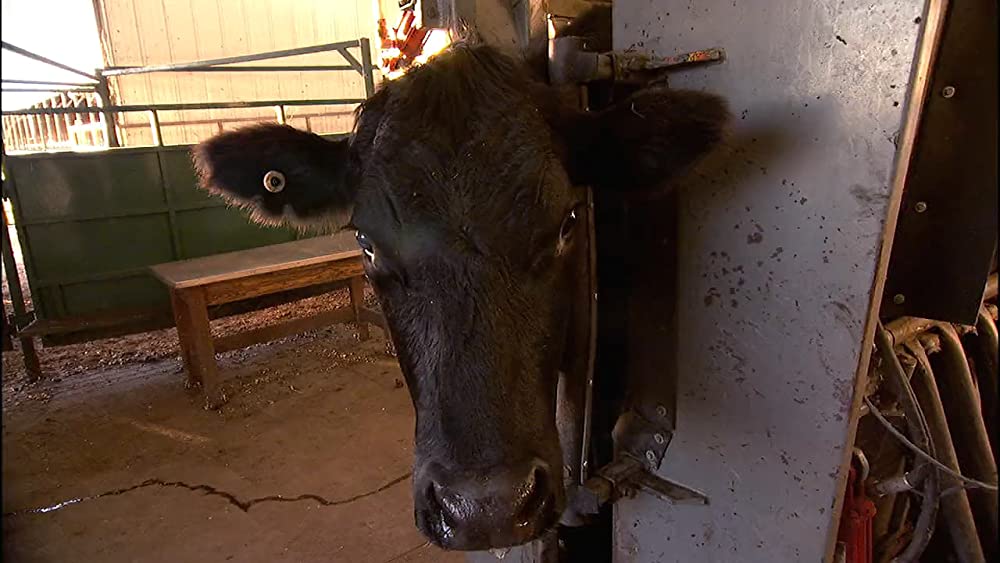 フード・インクの画像