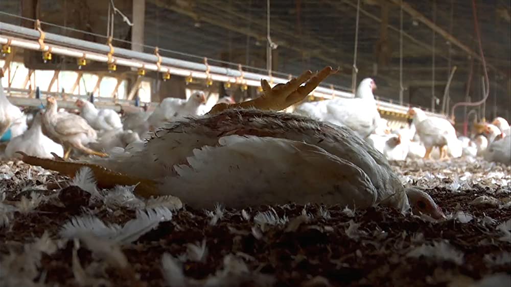 フード・インクの画像