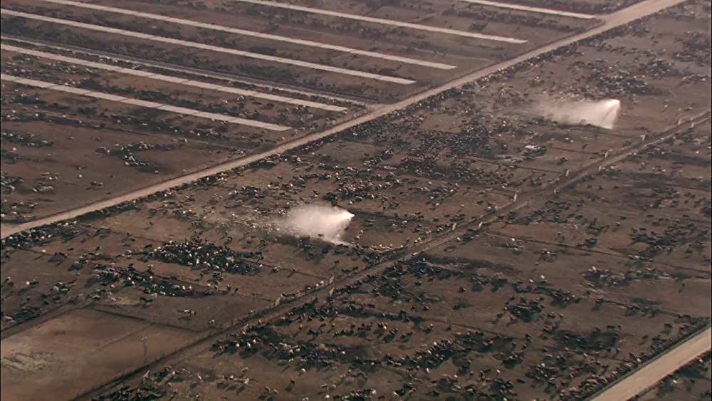 フード・インクの画像