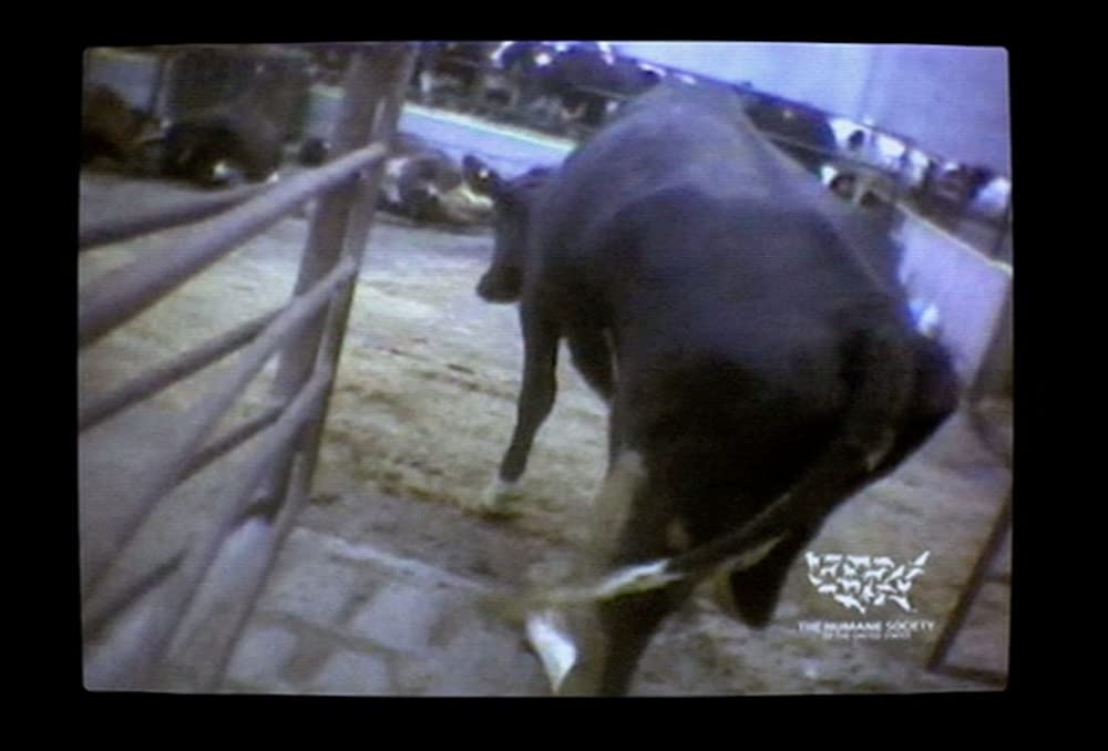 フード・インクの画像