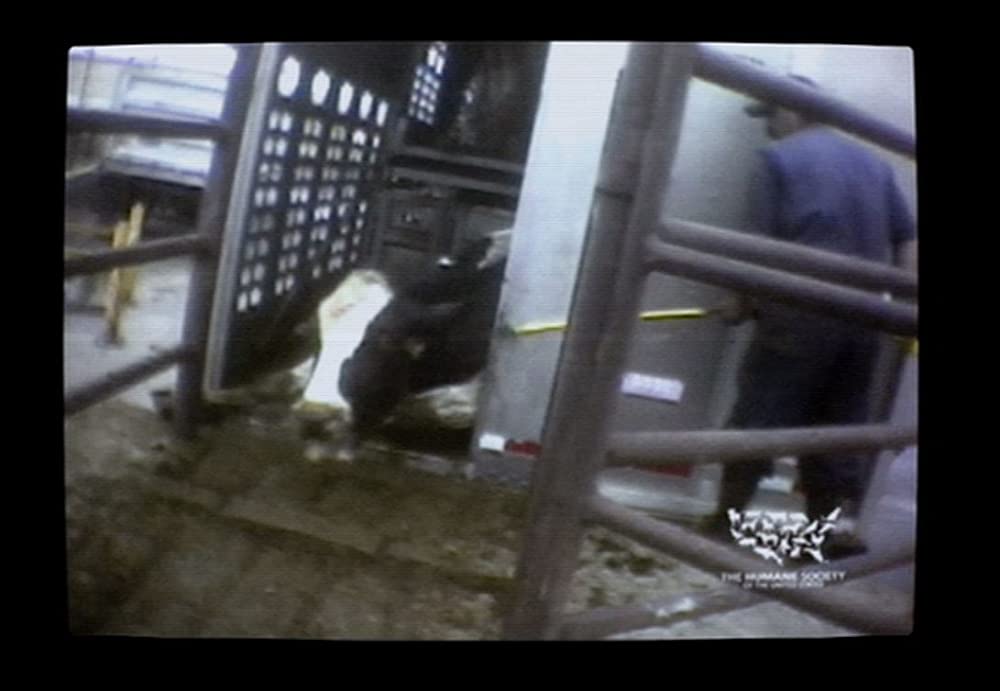 フード・インクの画像