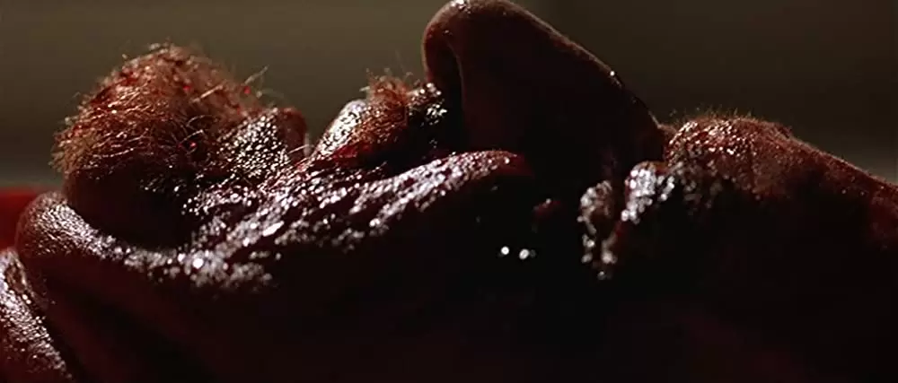 セクシー・ビーストの画像