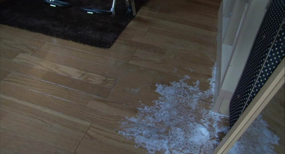 パラノーマル・アクティビティ 第2章／TOKYO NIGHTの画像