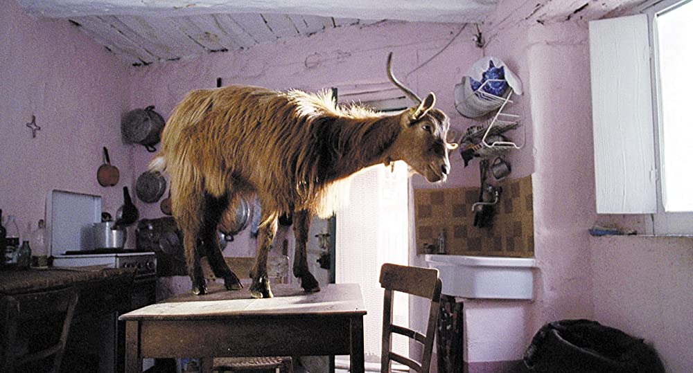 四つのいのちの画像