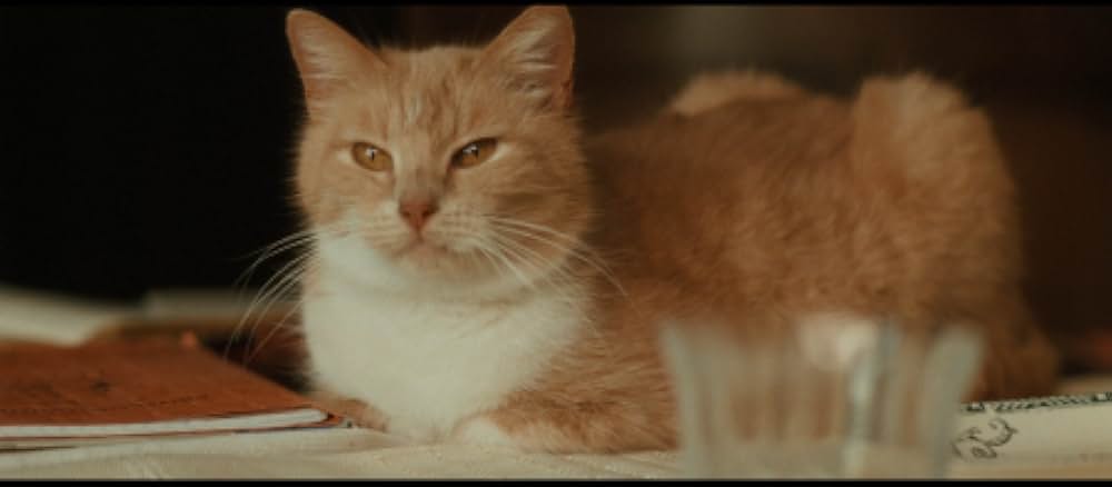 髪結いの亭主の画像