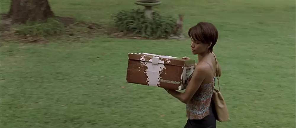 「チョコレート」ハル・ベリーの画像