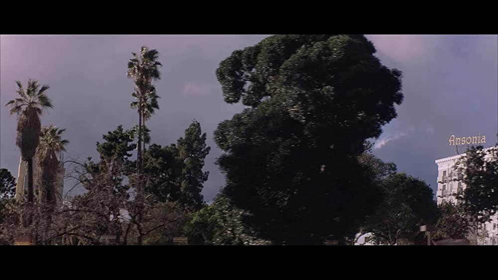 トレーニング デイの画像