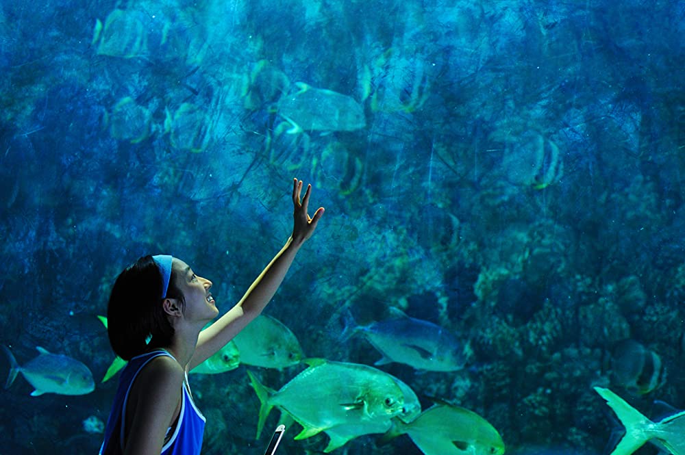 海洋天堂の画像