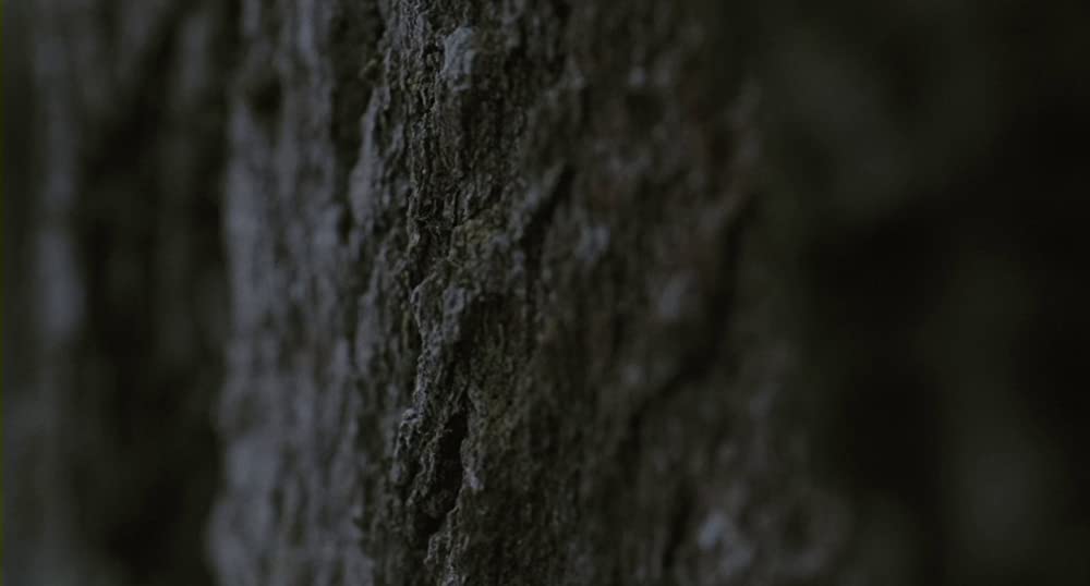 エッセンシャル・キリングの画像