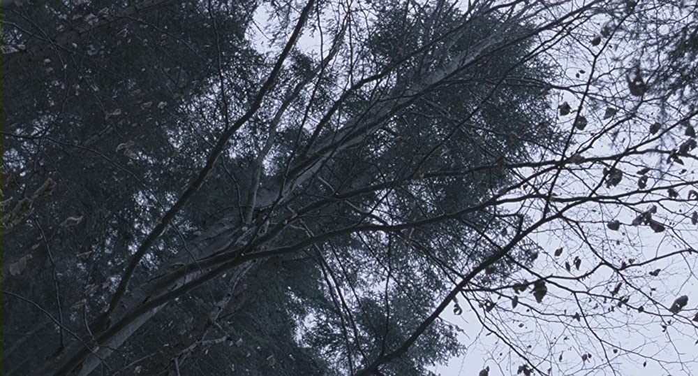 エッセンシャル・キリングの画像