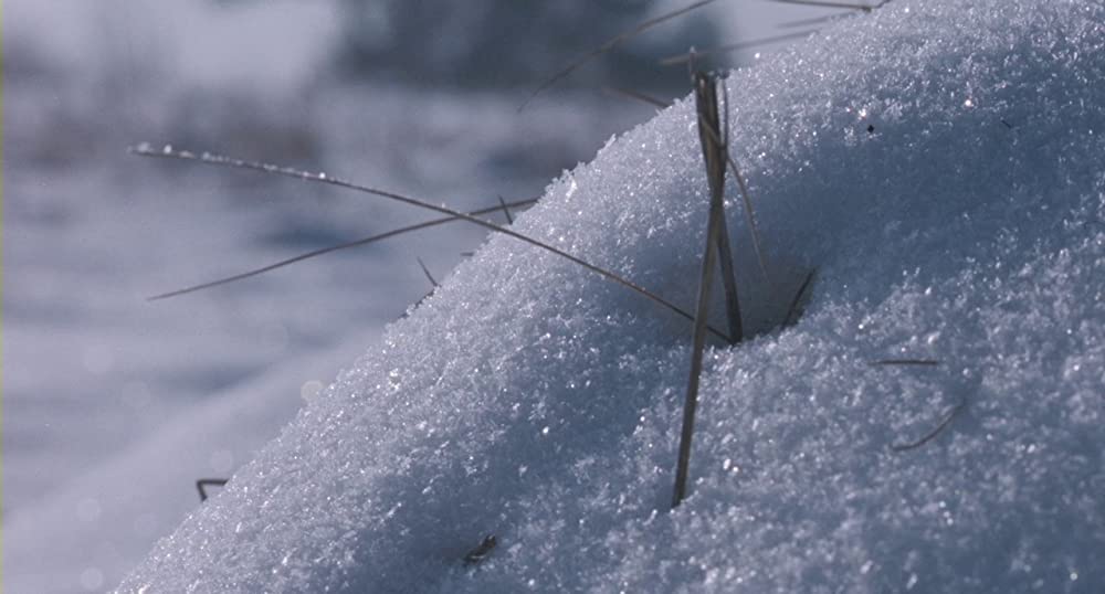 エッセンシャル・キリングの画像