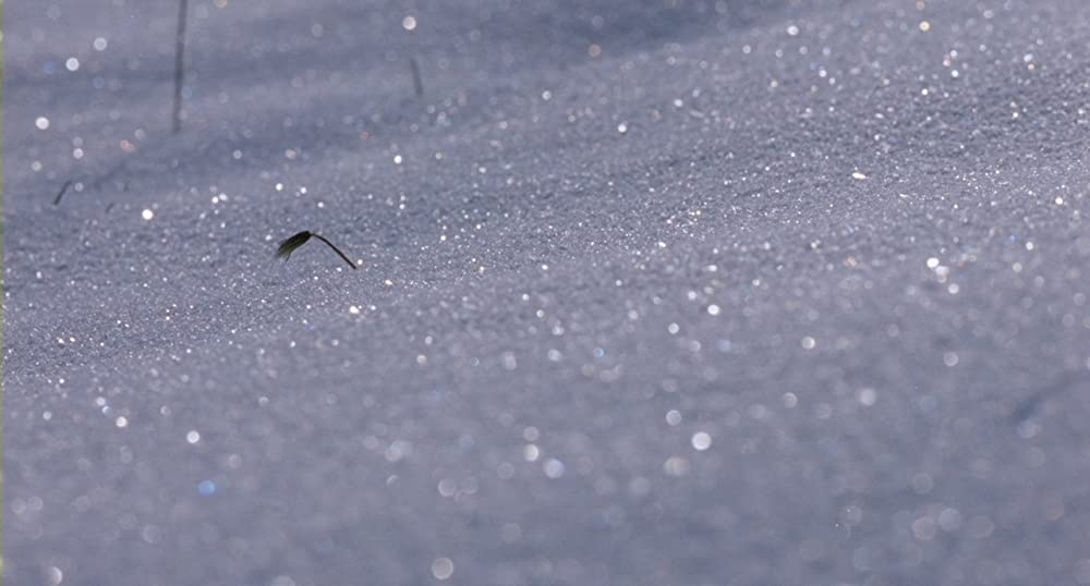エッセンシャル・キリングの画像