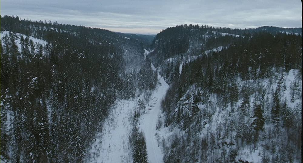 エッセンシャル・キリングの画像