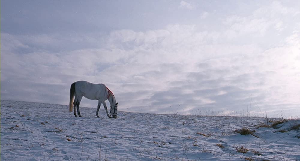 エッセンシャル・キリングの画像