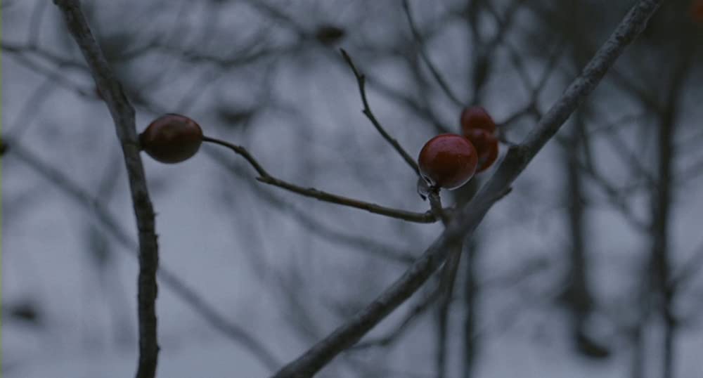 エッセンシャル・キリングの画像