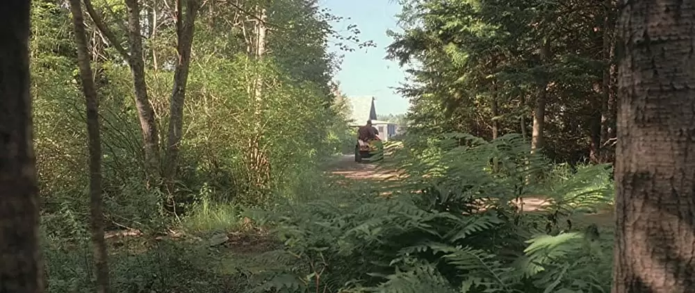 イン・ザ・ベッドルームの画像