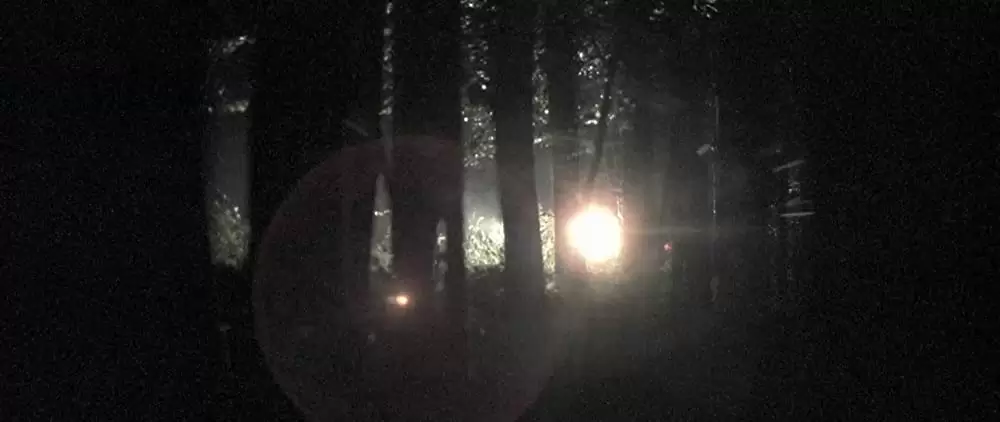 イン・ザ・ベッドルームの画像