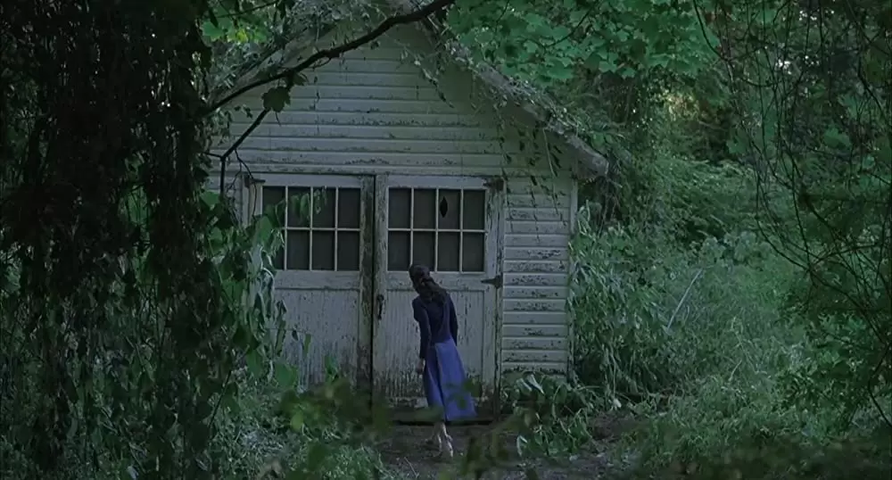 「ビューティフル・マインド」の画像