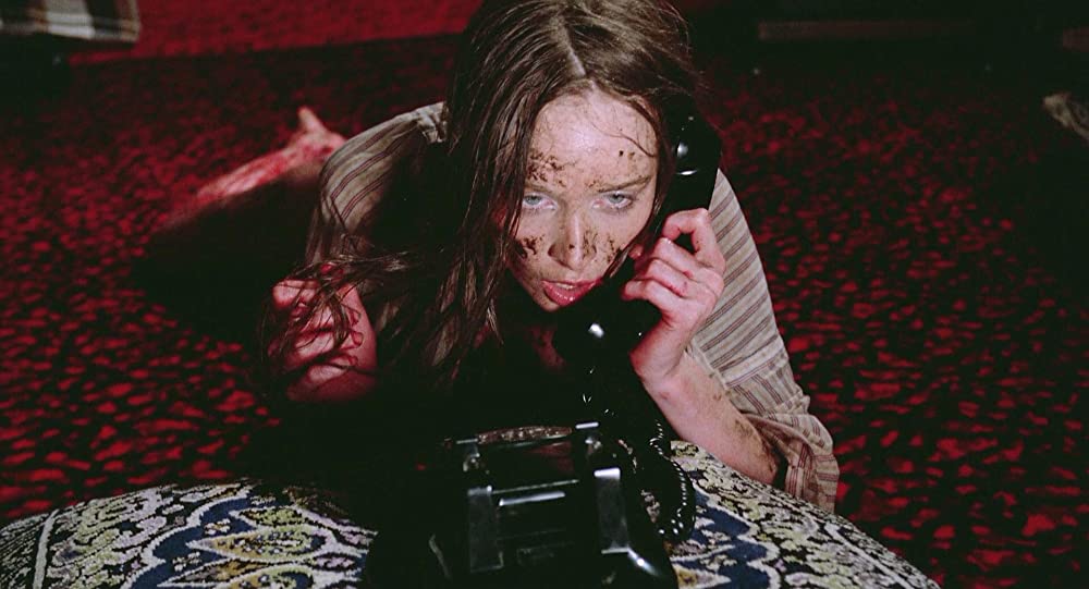 発情アニマル／発情アニマル アイ・スピット・オン・ユア・グレイヴ1978の画像