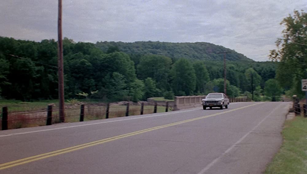 発情アニマル／発情アニマル アイ・スピット・オン・ユア・グレイヴ1978の画像