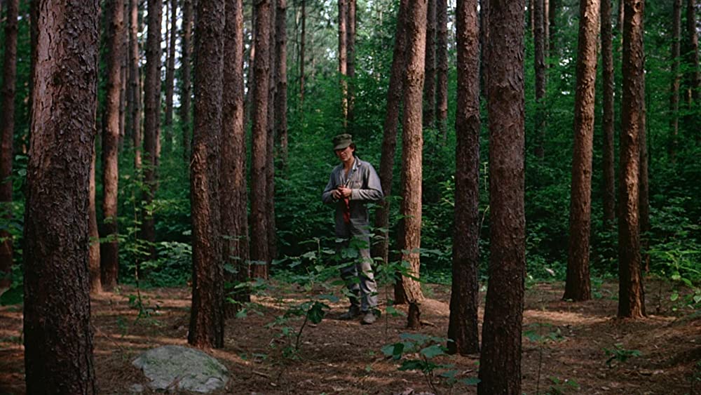 発情アニマル／発情アニマル アイ・スピット・オン・ユア・グレイヴ1978の画像