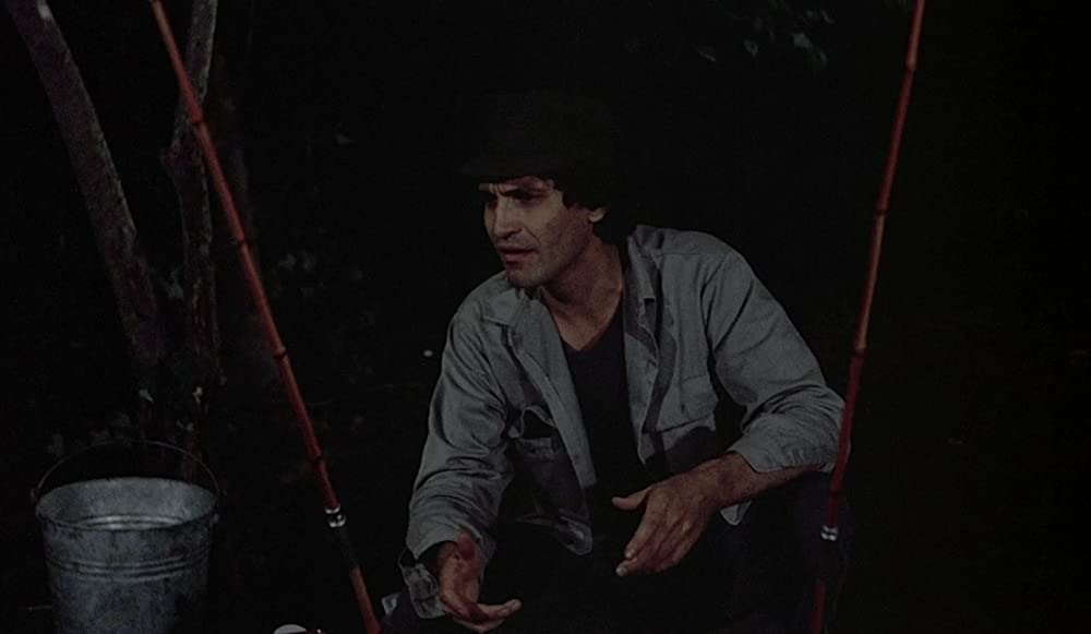 発情アニマル／発情アニマル アイ・スピット・オン・ユア・グレイヴ1978の画像