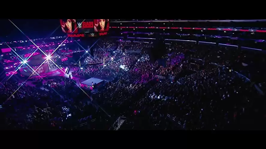 ファイティング・ファミリーの画像