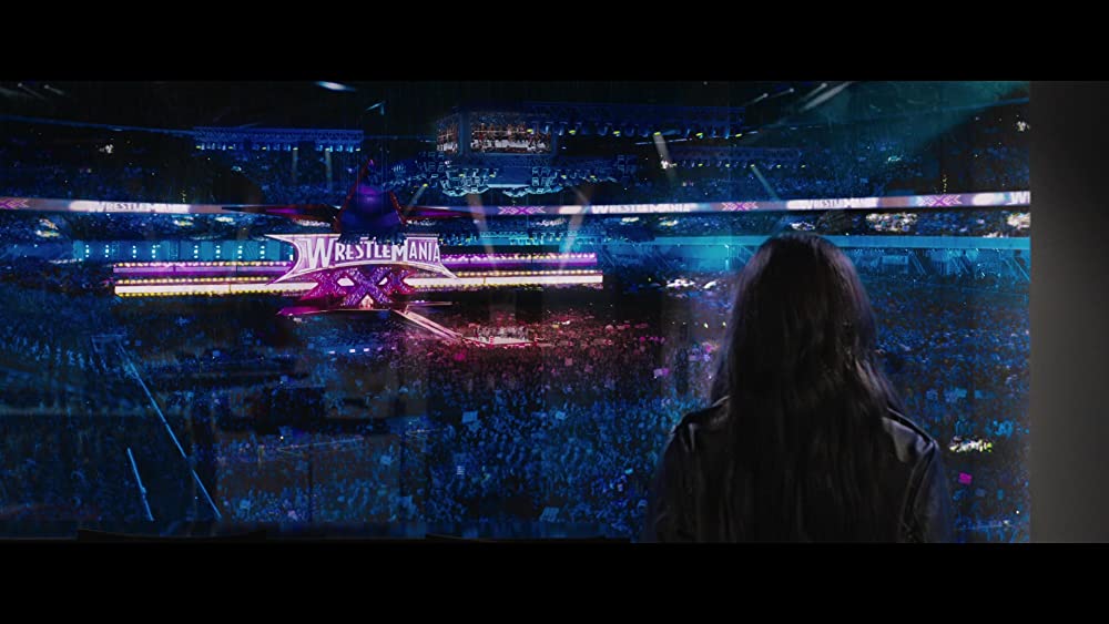 ファイティング・ファミリーの画像