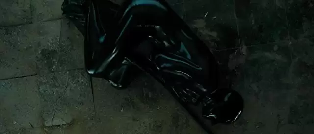 蜘蛛の巣を払う女の画像