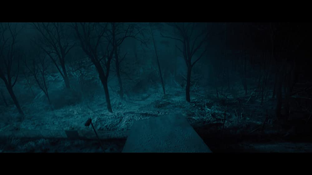 蜘蛛の巣を払う女の画像