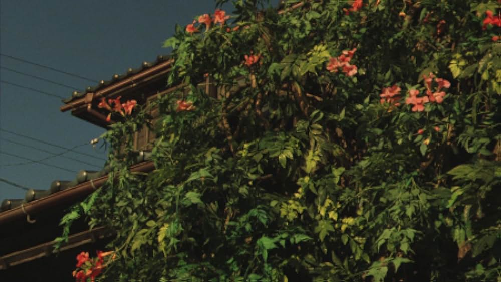 赤い橋の下のぬるい水の画像