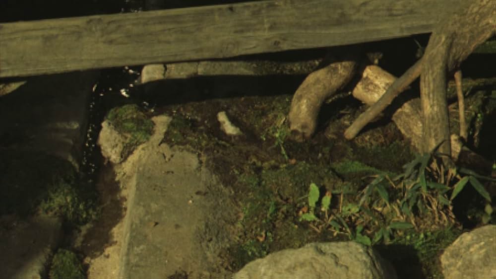 赤い橋の下のぬるい水の画像