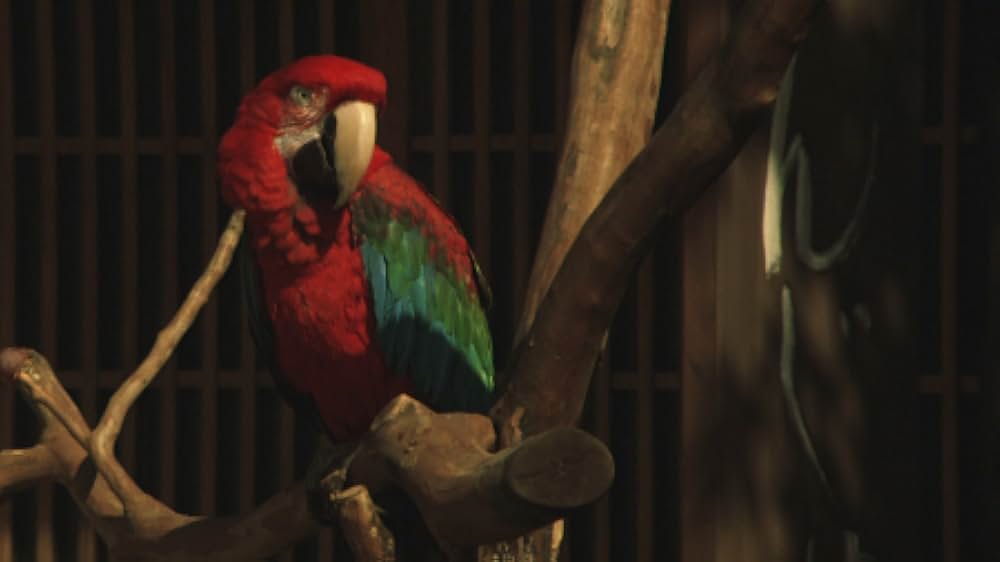 赤い橋の下のぬるい水の画像