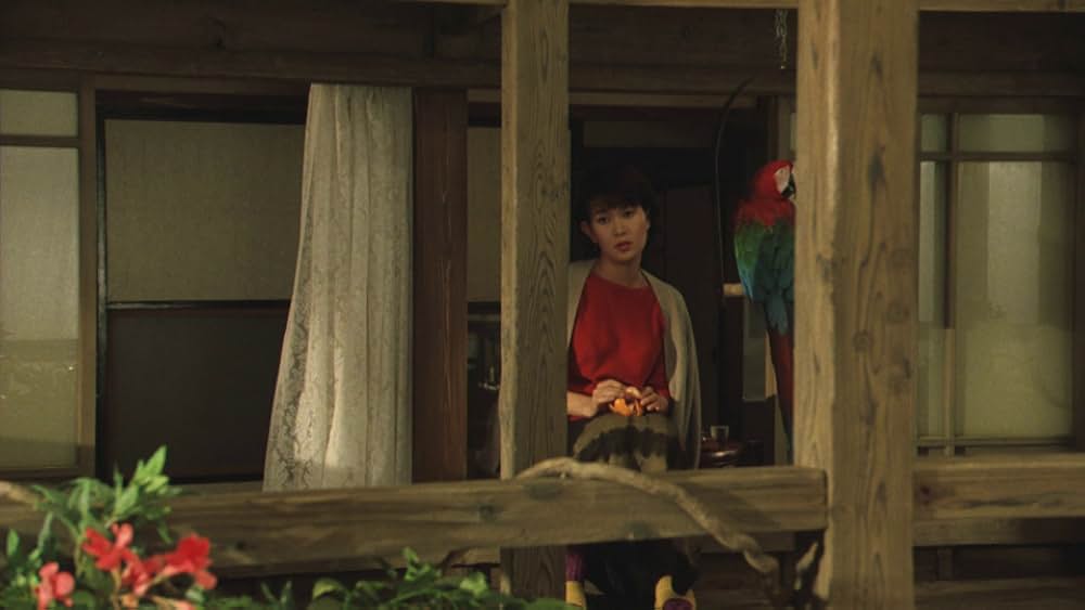 赤い橋の下のぬるい水の画像