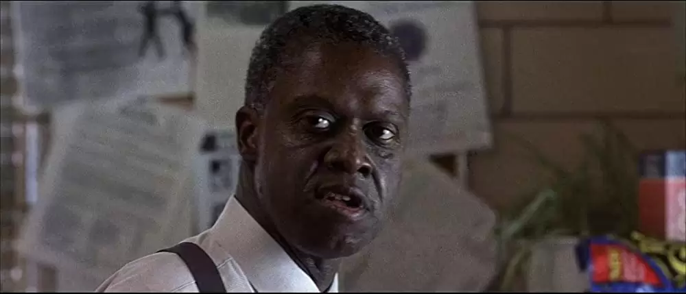 「オーロラの彼方へ」アンドレ・ブラウアーの画像