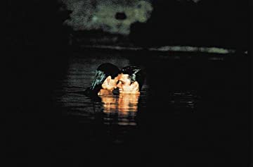 すべての美しい馬の画像