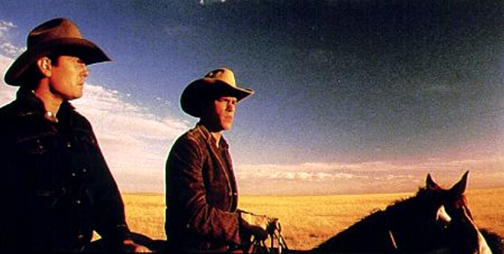 すべての美しい馬の画像