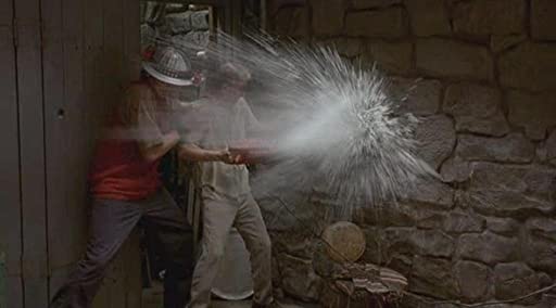 おいしい生活の画像