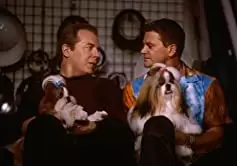 「ドッグ・ショウ！」ジョン・マイケル・ヒギンズ & マイケル・マッキーンの画像