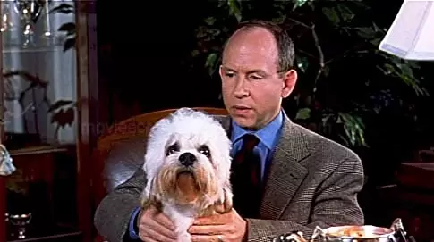 ドッグ・ショウ！の画像