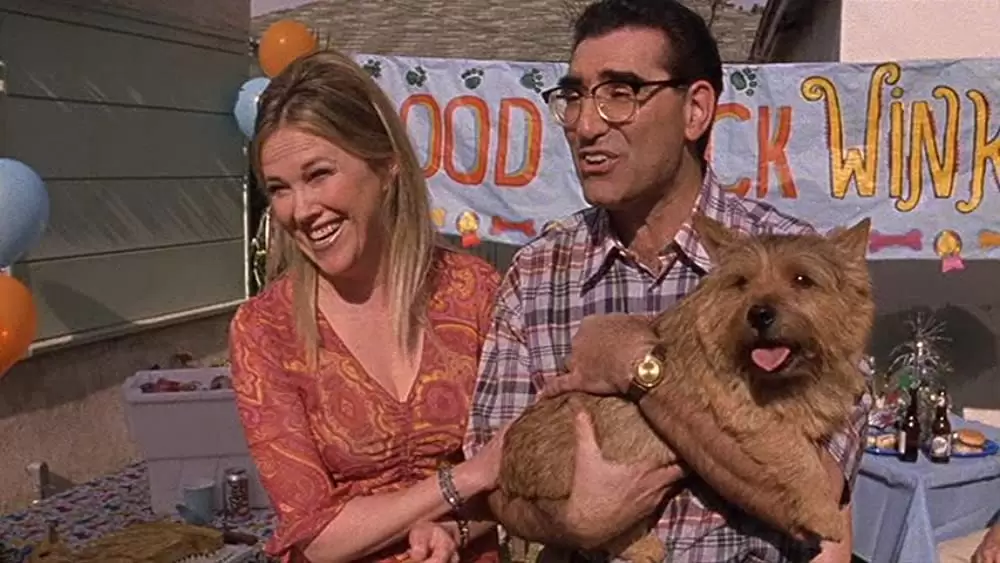 ドッグ・ショウ！の画像